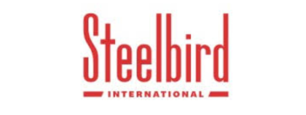 2. Steelbird International (2).jpg (1)